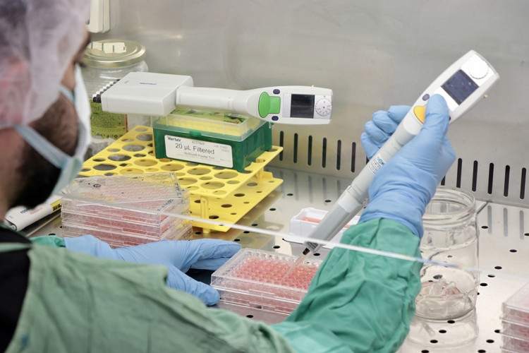 Koronavirüslere karşı etkin