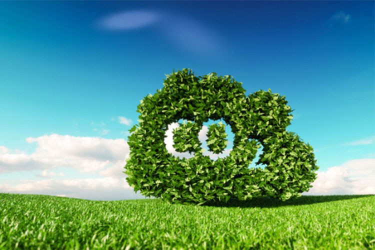 Vestel'in karbon emisyonu azaltım hedefleri onaylandı