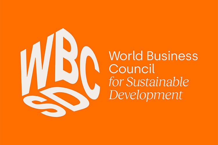 Pazar Engelleri Kritik Net Sıfır Yatırımlarını Engelliyor