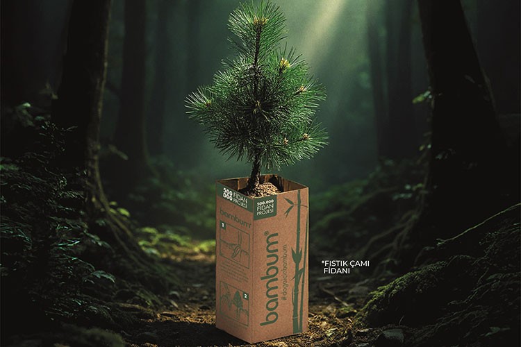 Bambum 81 ilde 100 bin fidanla seferberlik başlatıyor