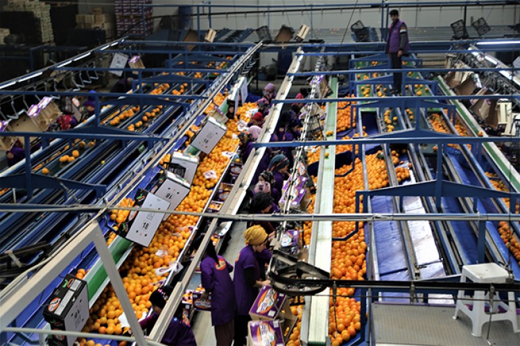 560 milyon dolar gelir