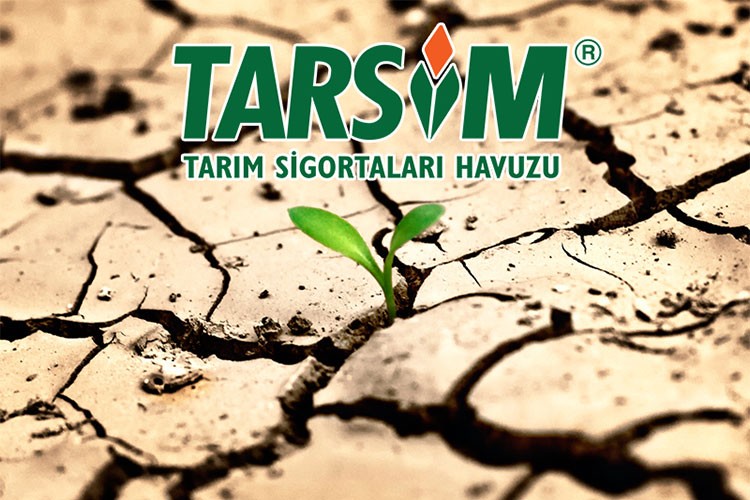 2025'te teminat altına alınacak ürün ve riskler belirlendi