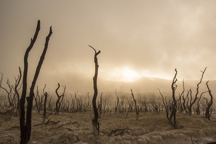 İklim Değişikliği İnsanlık İçin Kırmızı Alarm