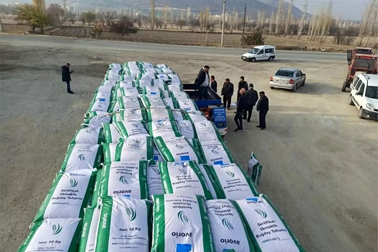 Afyonkarahisar'da 33 ton hibeli tohum dağıtıldı