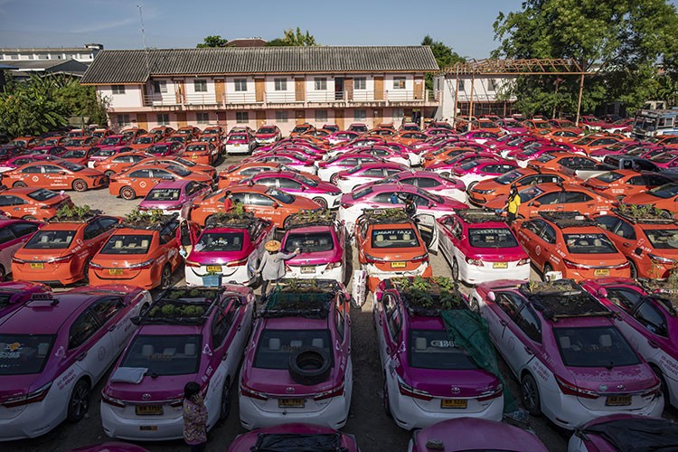 Taksiden sebze bahçesi