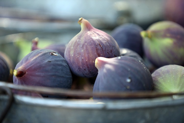 Bursa siyah inciri marka değerini artıracak