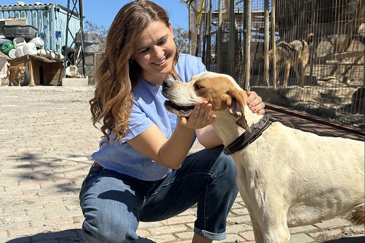 Patili dostlar n11 ile yeni yuvalarını arıyor