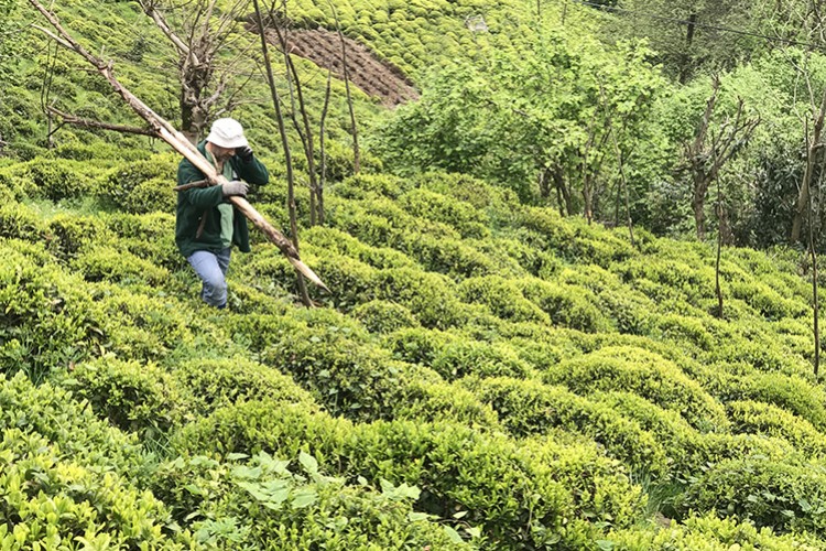 Havanın ısınması bekleniyor