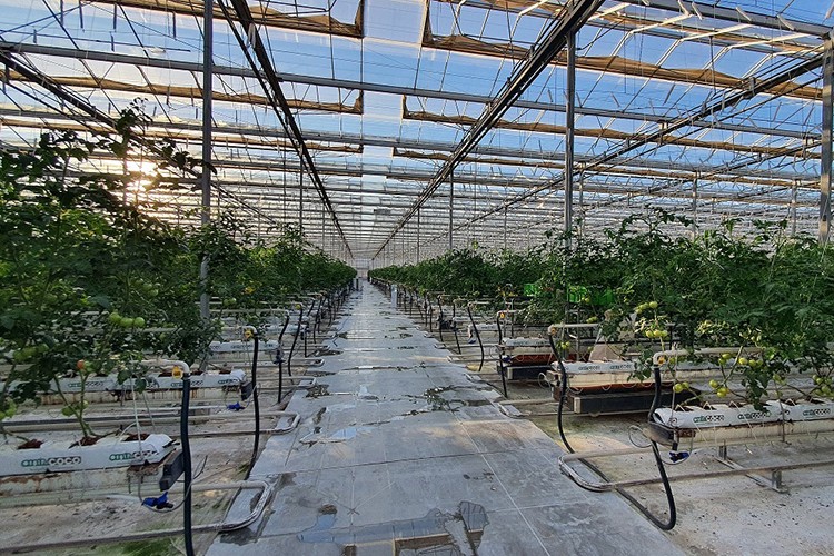 Tarımda jeotermal devrimi geliyor