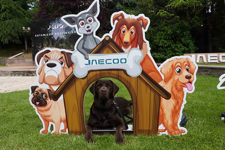 JAECOO J-CLUB Etkinliğini Evcil Hayvan Temasıyla Gerçekleştirdi!