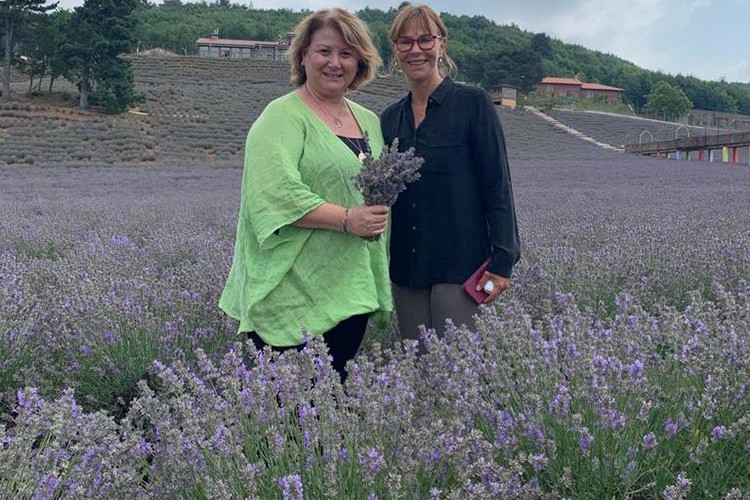 Ekonomiye lavanta katkısı