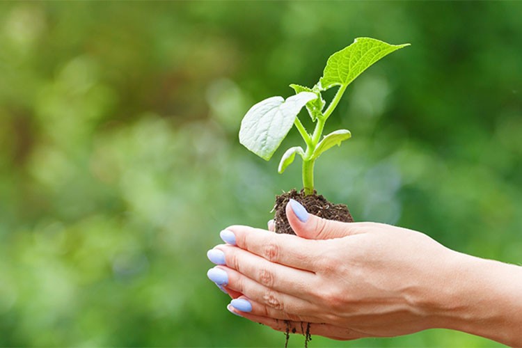 10 soruda afetlere karşı çiftçinin güvencesi tarım sigortaları