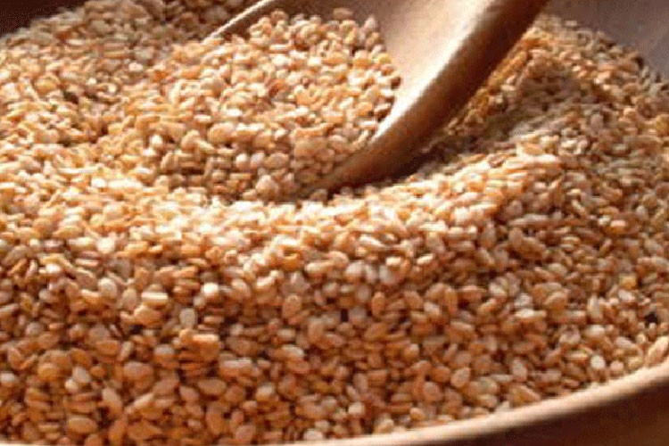 Manavgat susamı, otellerin mutfaklarını lezzetlendiriyor