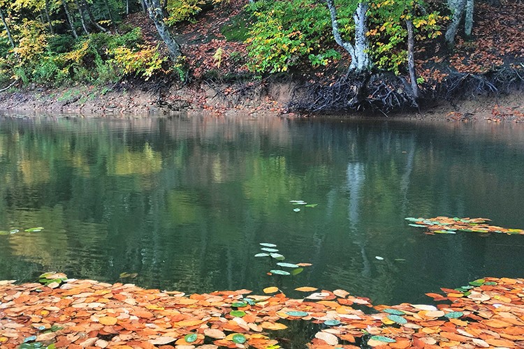 Mikrolens ile mikro dünyalarda keşif
