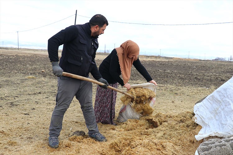 Gelin gittiği Ağrı'da köye ayak uyduran kadın besicilikte örnek oluyor