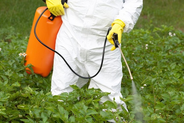 AB ülkeleri "glifosatta" anlaşamadı