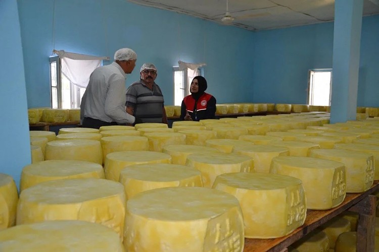 Beş girişimciden 50 milyonluk başarı