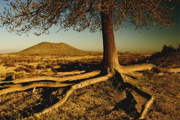 36 bin 88 hektarda erozyon çalışması yapıldı