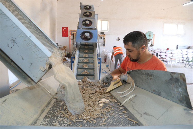 Atık orman ürünleri ekonomiye kazandırılıyor