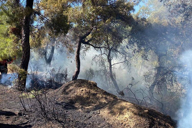 Antalya'da çıkan orman yangını söndürüldü