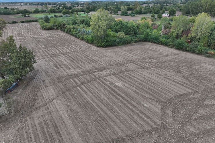 Trakya çiftçisi son yağışlarla moral buldu