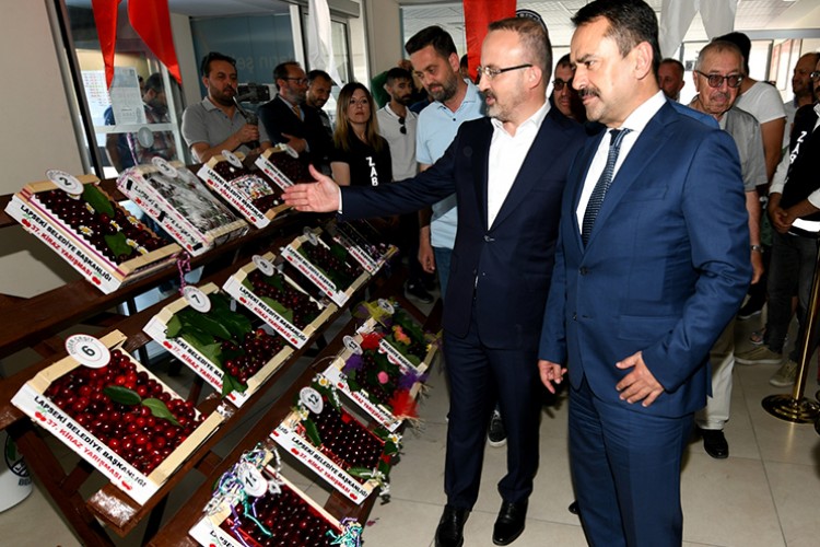 37. Geleneksel Kiraz Festivali'nde üreticiler yarıştı