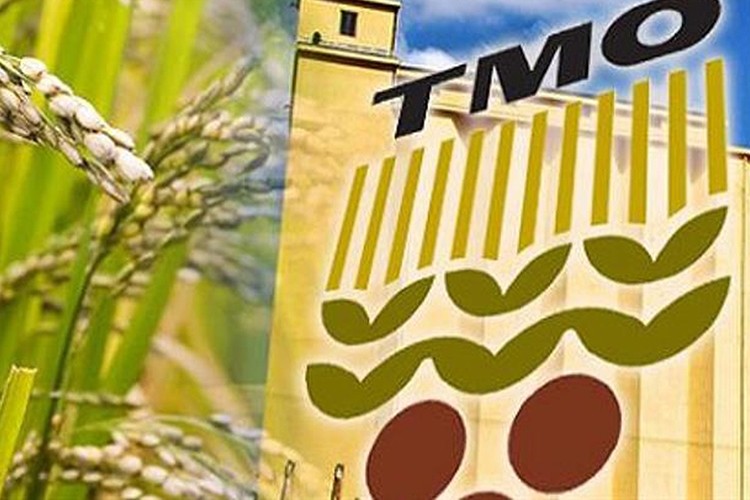 500 bin tonluk ihale