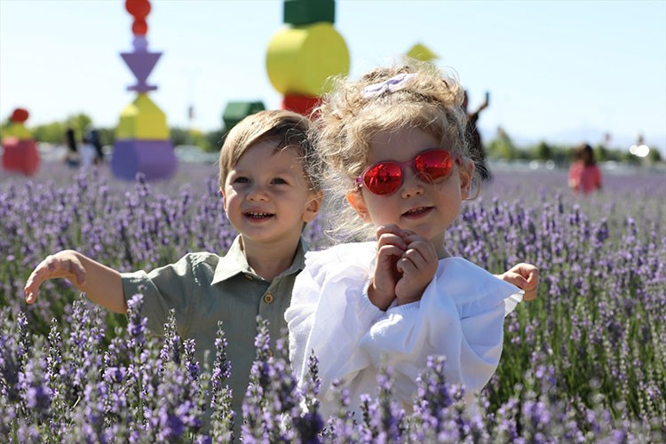 Konya'da "Karatay Lavanta Festivali" düzenlendi