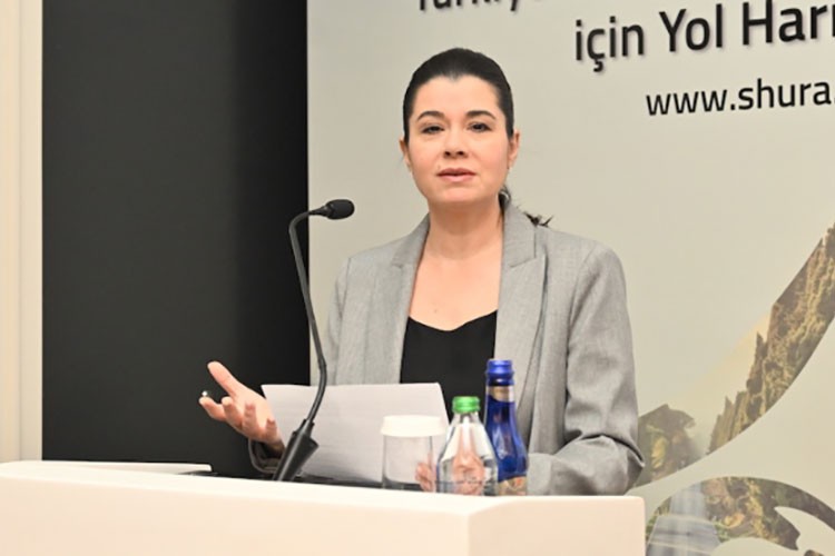 Yeşil dönüşüm kalkınma hamlesine çevirilebilir