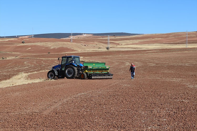 Sivas'ta yerli buğday ve arpa çeşitlerinde deneme ekimleri başladı