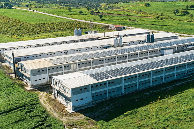 Banvit BRF tüm faaliyetlerinde sürdürülebilirliğe odaklanıyor