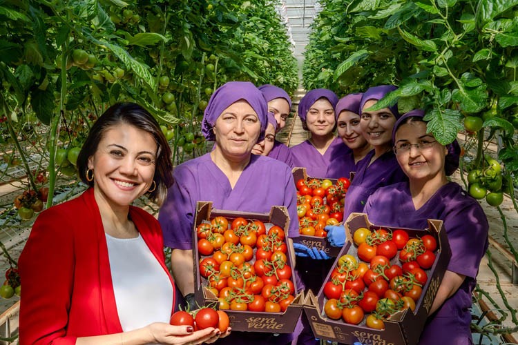 150 futbol sahası büyüklüğünde
