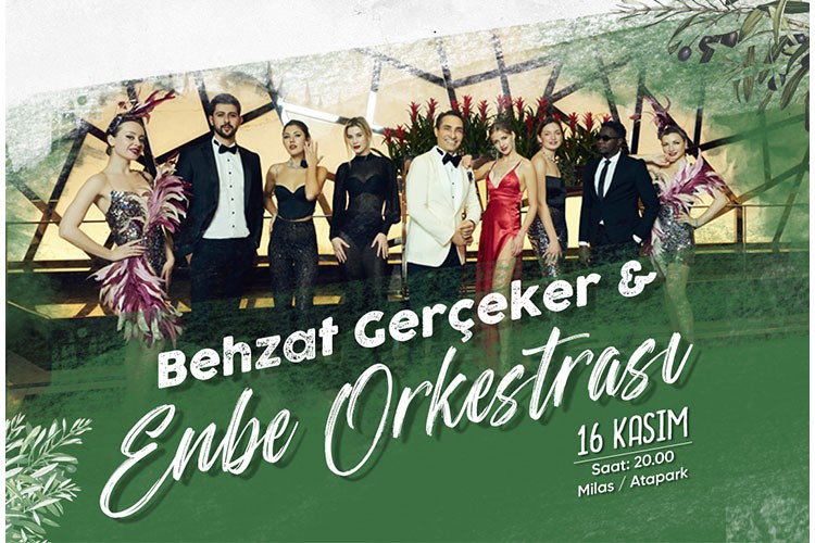 Milas Zeytin Şenliği için geri sayım başladı