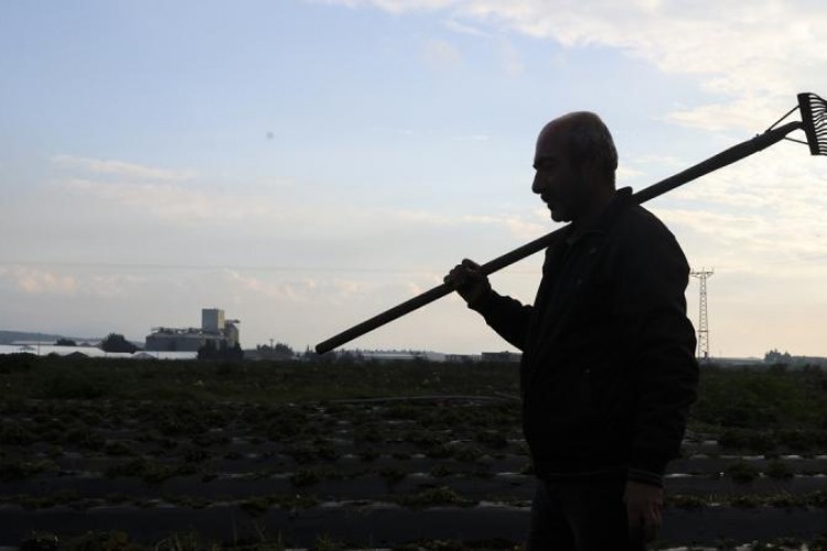 Mevsimlik tarım işçilerinin çalışma ve yaşam koşulları iyileştirilecek