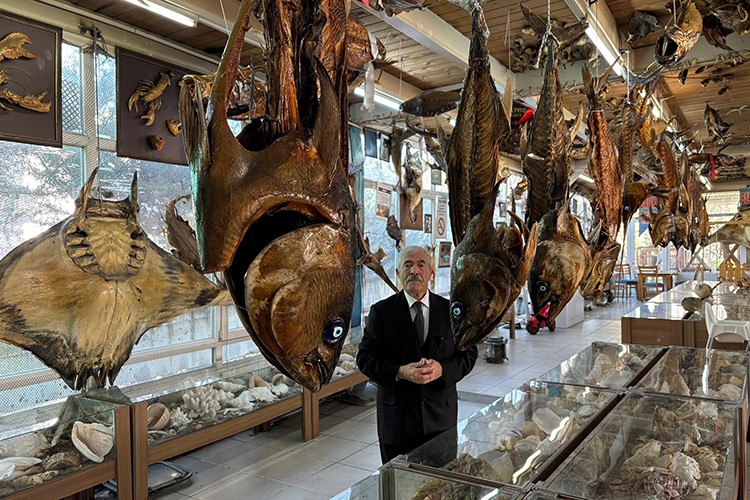 Beylikdüzü'nde Bayrak coşkusu