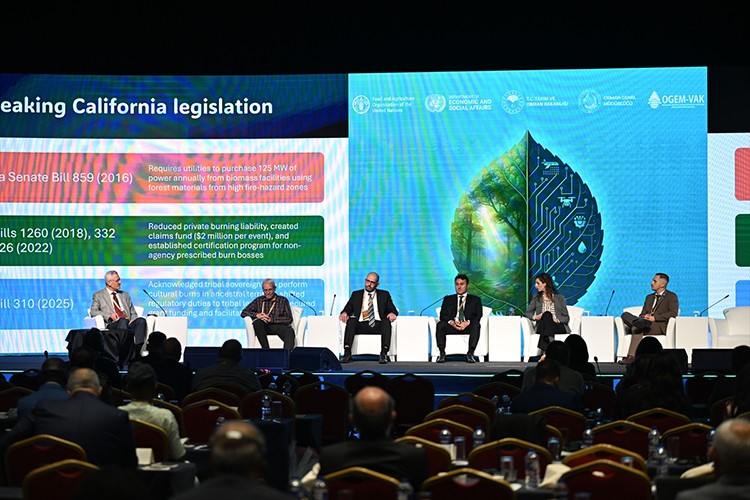 Ormanların yangınlara direncini artırma çalışmaları tartışıldı