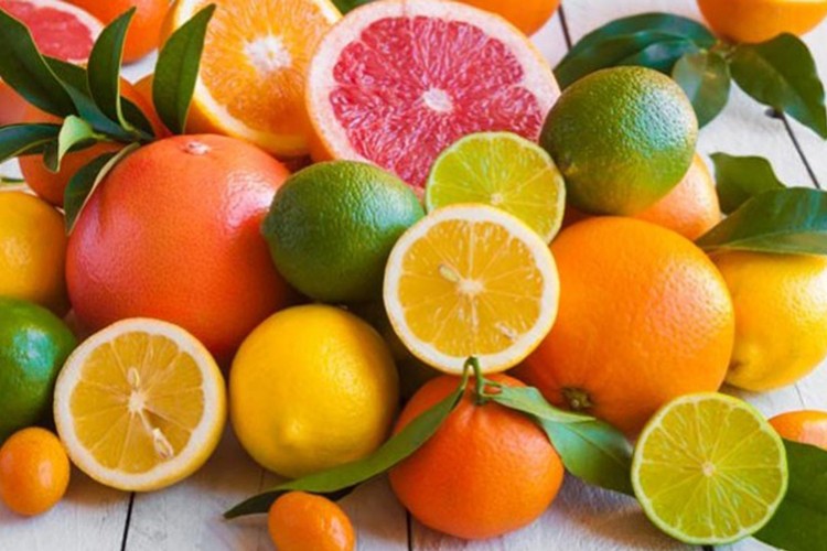 Rusya'ya ihracat artıyor