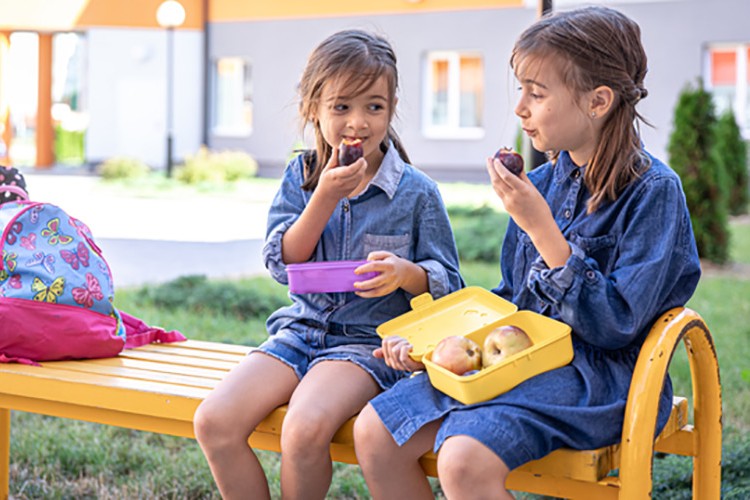 Okulda gıda takviyeleri kritik bir rol üstleniyor
