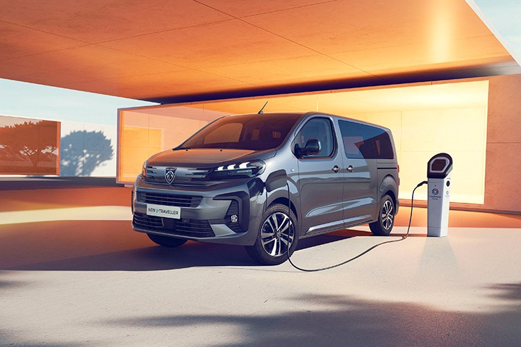 Profesyoneller için hazırlanan gözalıcılık