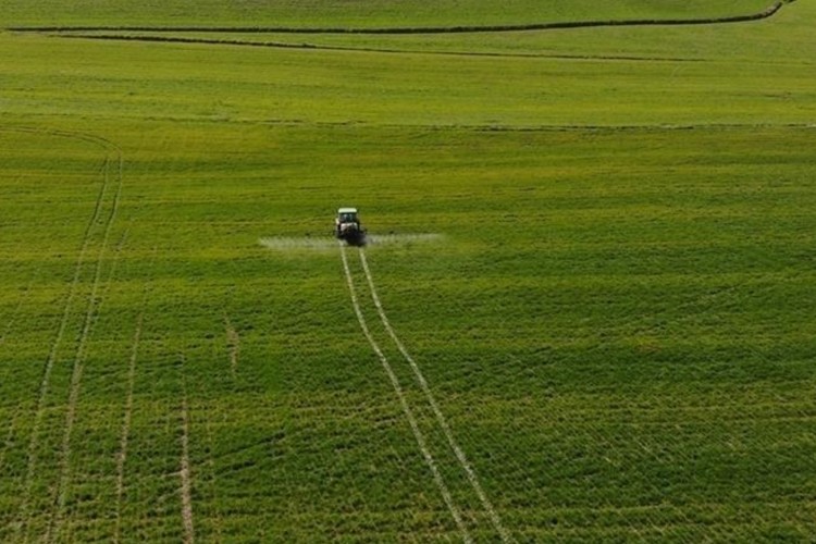 Tarım ÜFE nisanda aylık yüzde 2,71, yıllık yüzde 60,77 arttı