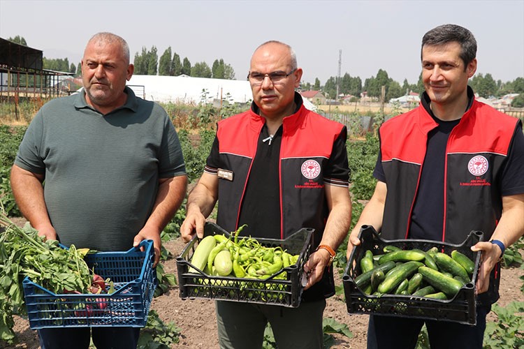 Ağrı tarımında verim desteklerle yükseliyor