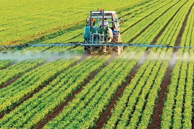 Tarım sektöründen ihracat rekoru