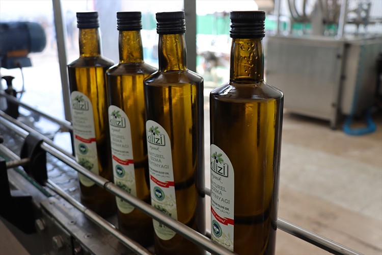 Kilis zeytinyağının AB'ye tescil başvurusu üreticileri sevindirdi