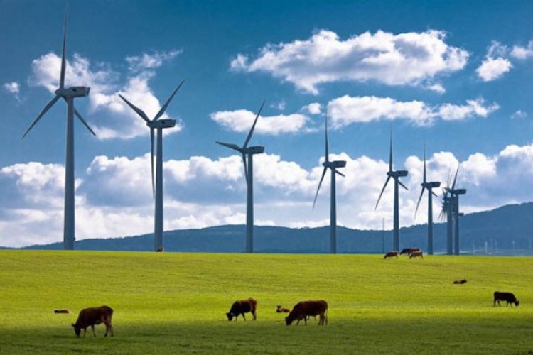 Kastamonu Entegre Manisa'ya rüzgar türbini kuruyor