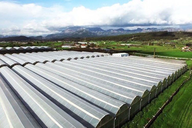 Elektrik şebeke yapımı