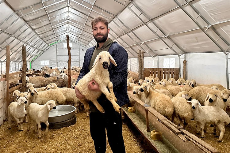 Genç girişimci küçükbaş hayvan yetiştiriciliğine adım attı