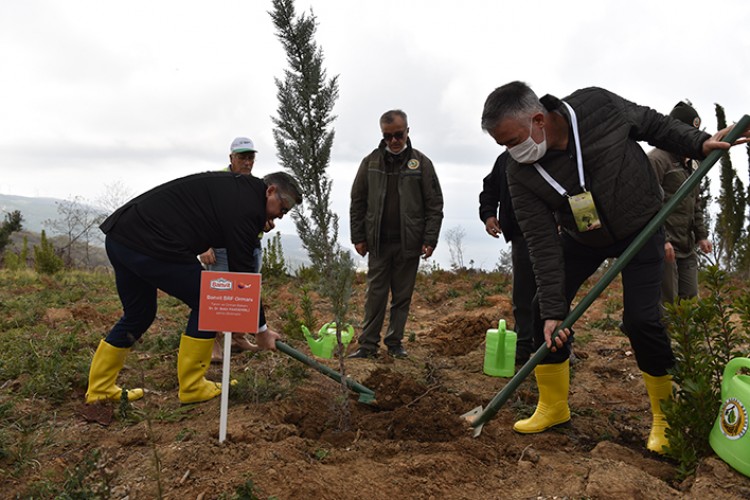 Banvit BRF Ormanları 50 bin ağaca ulaştı