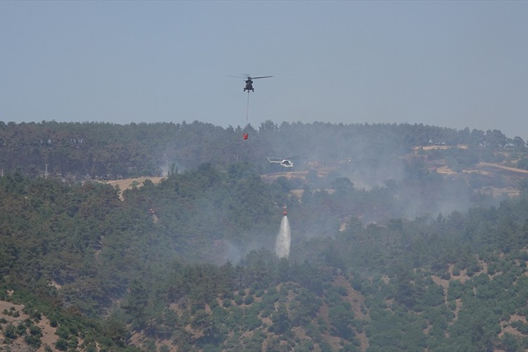 Çanakkale'deki orman yangını kontrol altına alındı