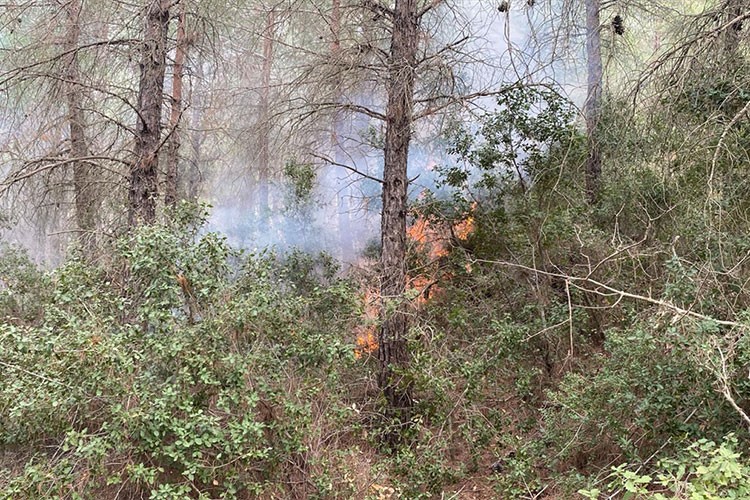 Osmaniye'de çıkan orman yangını kontrol altına alındı