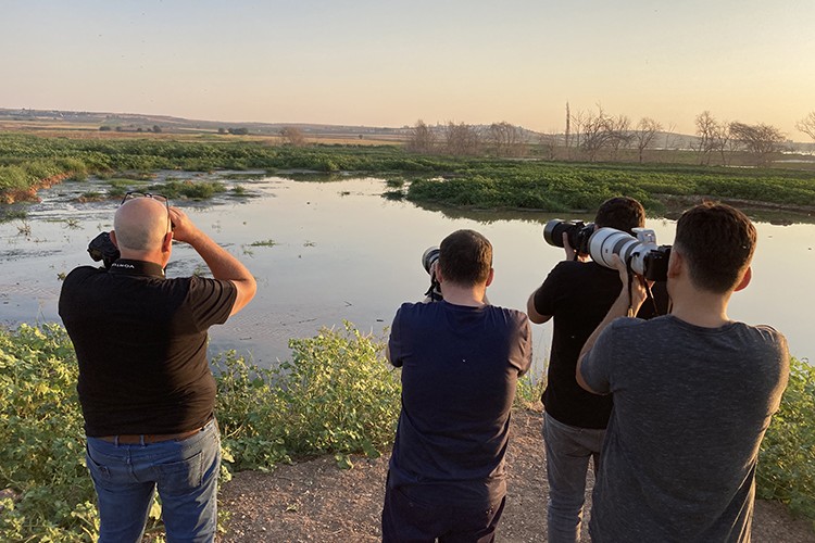 Sulak alanlar kuş fotoğrafçılarının uğrak yeri oldu